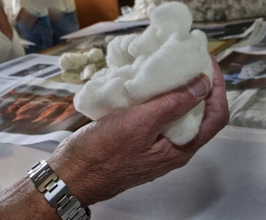Wool sample image