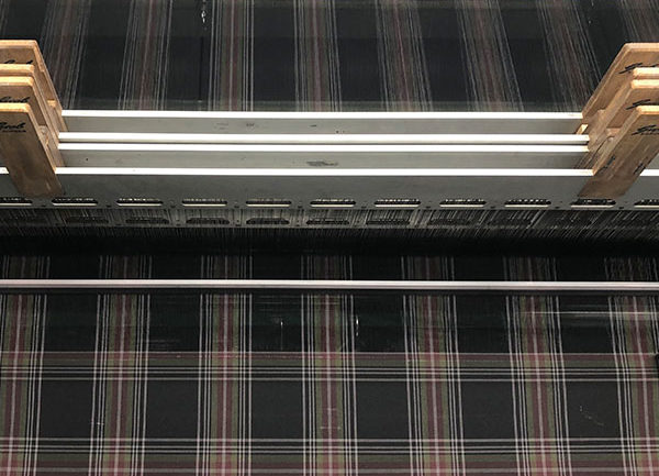 William Halstead: Special Development Tartan